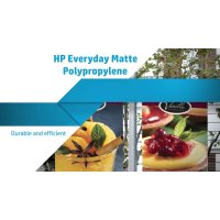 HP Everyday Matt Polyproplene 1270mm x 30.5m (2 x rolls per box)