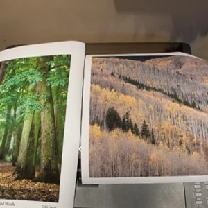 180gsm Matt Coated Paper 1524mm x 45m - small thumbnail