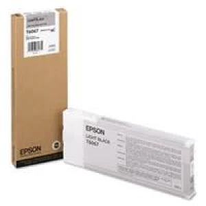 Epson Light Black Ink Cartridge 220ml (T606700) - small thumbnail