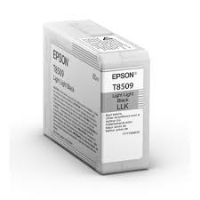Epson Singlepack Light Black UltraChrome HD ink 80ml