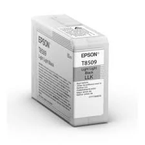Epson Singlepack Light Black UltraChrome HD ink 80ml - small thumbnail