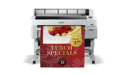 Epson SureColor SC-T5200 Poster Print