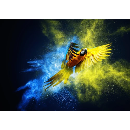 Epson SureColor SC-S40600 stunning image quality