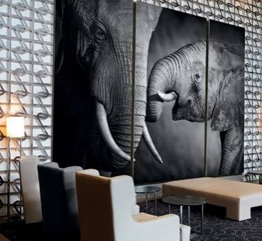 HP Scitex FB 750 wall mounted print