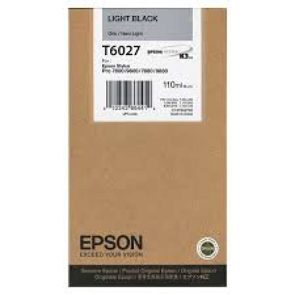 Epson Light Black Ink Cartridge 110ml (T602700)