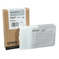 Epson Light Black Ink Cartridge 110ml