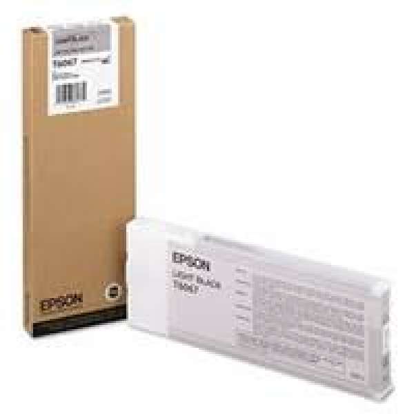 Epson Light Black Ink Cartridge 220ml