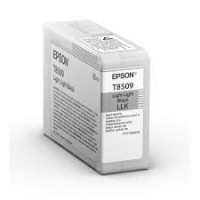 Epson Singlepack Light Light Black UltraChrome HD ink 80ml