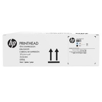 HP No. 881 Cyan and Black Printhead