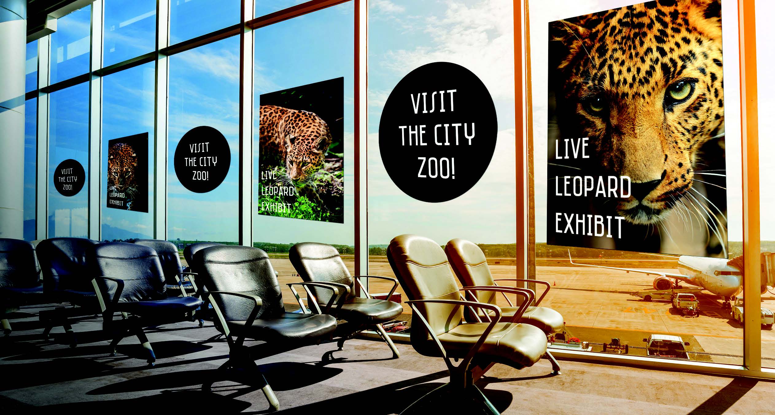 ​Media Spotlight: SpotOn Clear monomeric PVC film - Featured Image