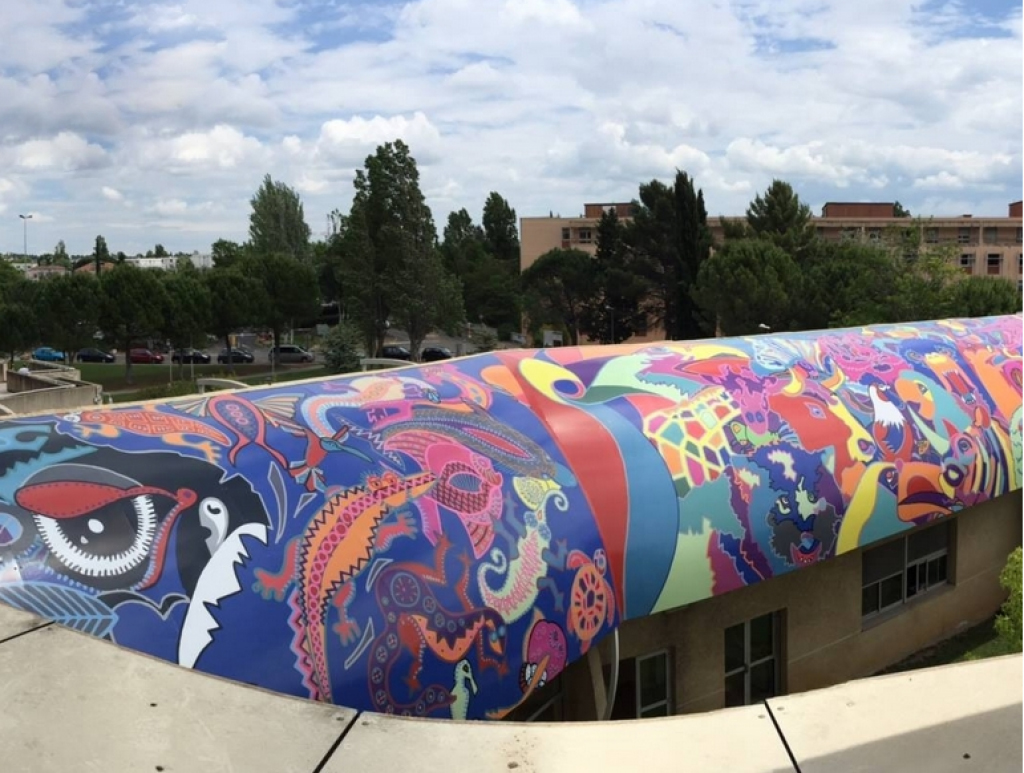 WP300 Wall Print 300 High Grab | Perfect Colours - Featured Image